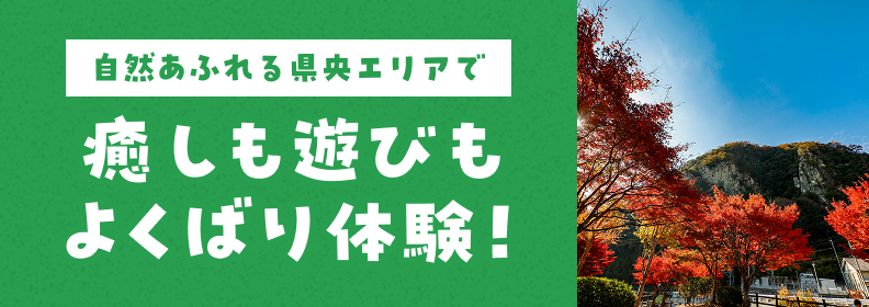 県央エリア